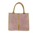 Gucci Jackie Pink Suede Handbag (Arinah bags) Supply