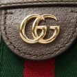 (WMNS) Gucci Ophidia Gold Logo Retro GG Stripe Webbing Canvas Shoulder Messenger Bag Small   Brown 499621-K05NG-8745 Online Sale