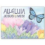 Alleluia Jesus Lives ! Easter Greeting Card Fashion