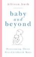 Baby and Beyond: Overcoming Those Post-Childbirth Woes Allison Auth (Paperback) Online Hot Sale