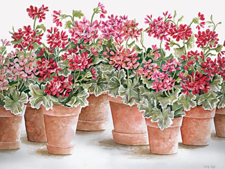 CIN2889 - Potted Geranium Mix I - 16x12 Online Hot Sale