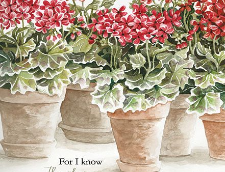 CIN2892 - For I Know - 12x16 Supply